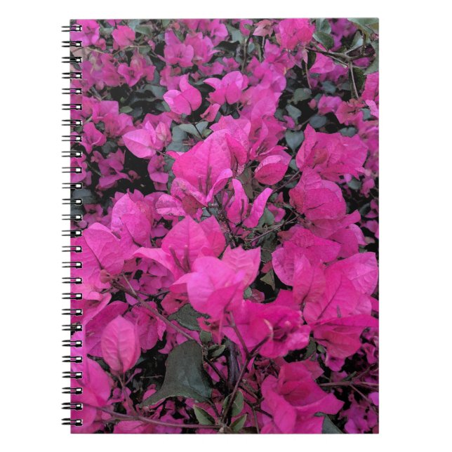 Caderno Espiral Watercolor-Bougainvillea (Frente)