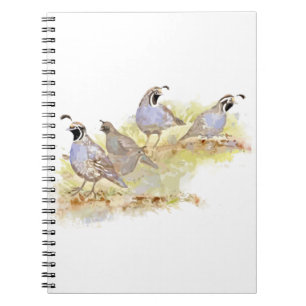 Caderno Espiral Watercolor California Quail Bird Nature Art