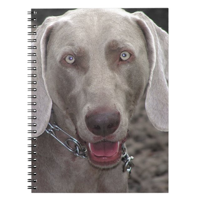 Caderno Espiral Weimaraner (Frente)