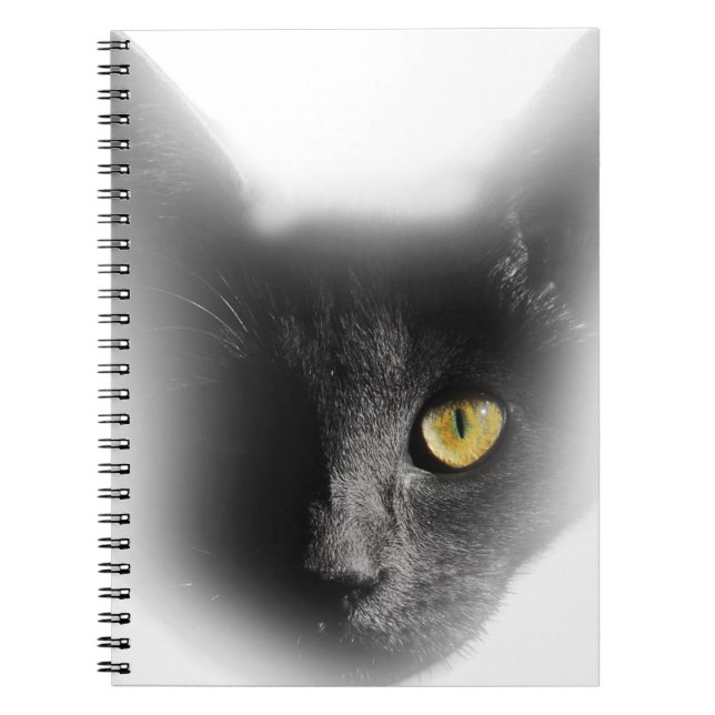 Caderno Espiral Wellcoda um gatinho Freaky Eyed do gato preto (Frente)
