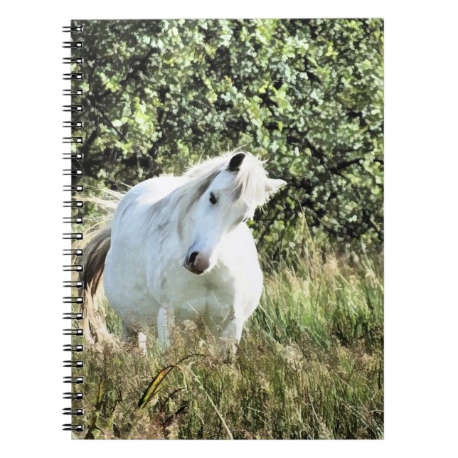 CADERNO ESPIRAL WELSH MOUNTAIN PONY (Frente)