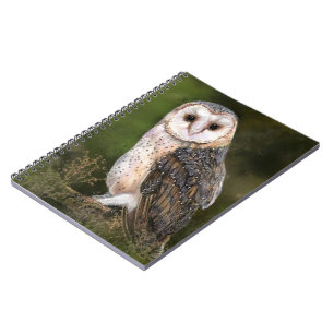 Caderno Espiral Western Barn Owl - Imagem de Cores-d'Água 