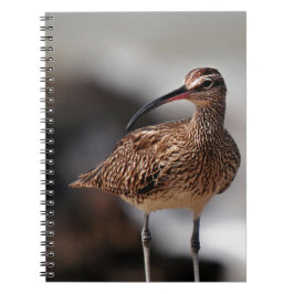 Caderno Espiral Whimbrel