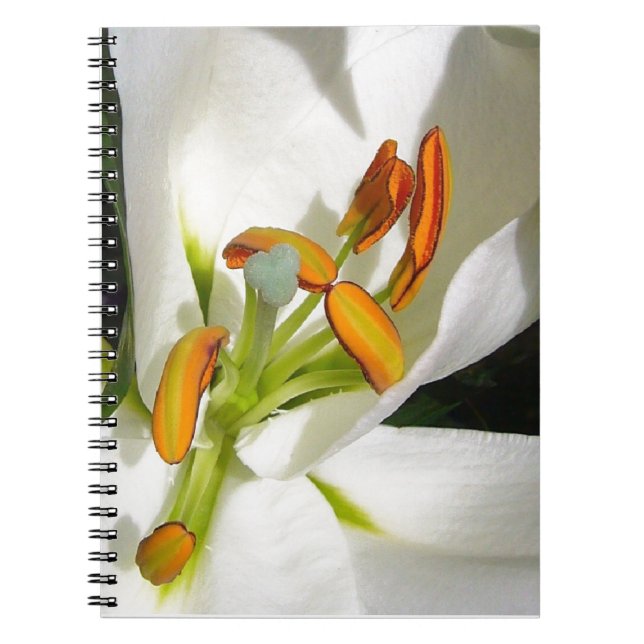 Caderno Espiral White Lily (Frente)