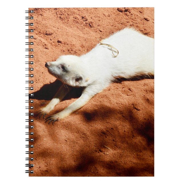 Caderno Espiral White Meerkat Stretching, Notebook (Frente)