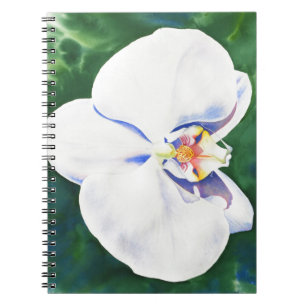 Caderno Espiral White Orchid