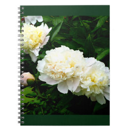 Caderno Espiral White Peony Trio