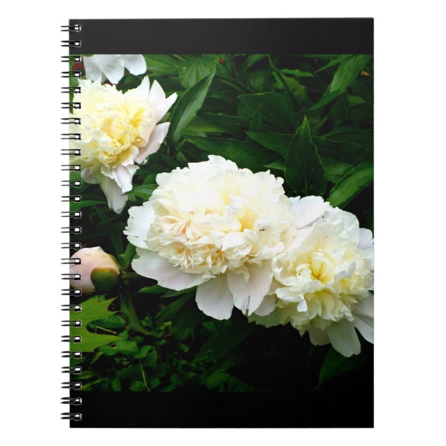 Caderno Espiral White Peony Trio (Frente)