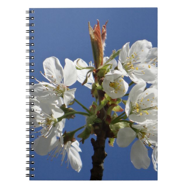 Caderno Espiral White Primavera Bloom (Frente)