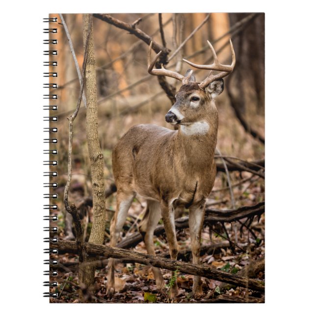 Caderno Espiral White Tail Deer Buck (Frente)