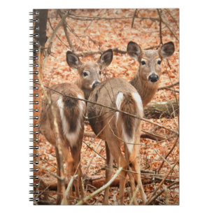 Caderno Espiral Whitetail Doe e sua Fawn no outono Woods