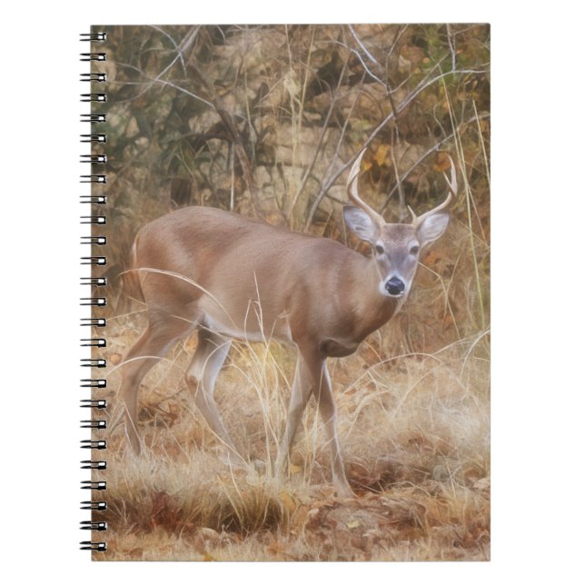 Caderno Espiral Wild Buck Deer em um notebook de Diário de outono (Frente)