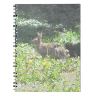 Caderno Espiral Wild Bunny Notebook