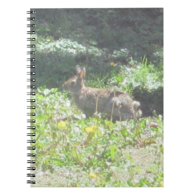 Caderno Espiral Wild Bunny Notebook (Frente)