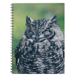 CADERNO ESPIRAL WILL OWL NA FLORESTA FRANCESA