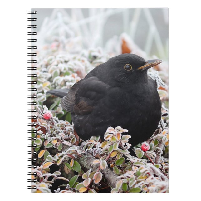 Caderno Espiral Winter Blackbird (Frente)
