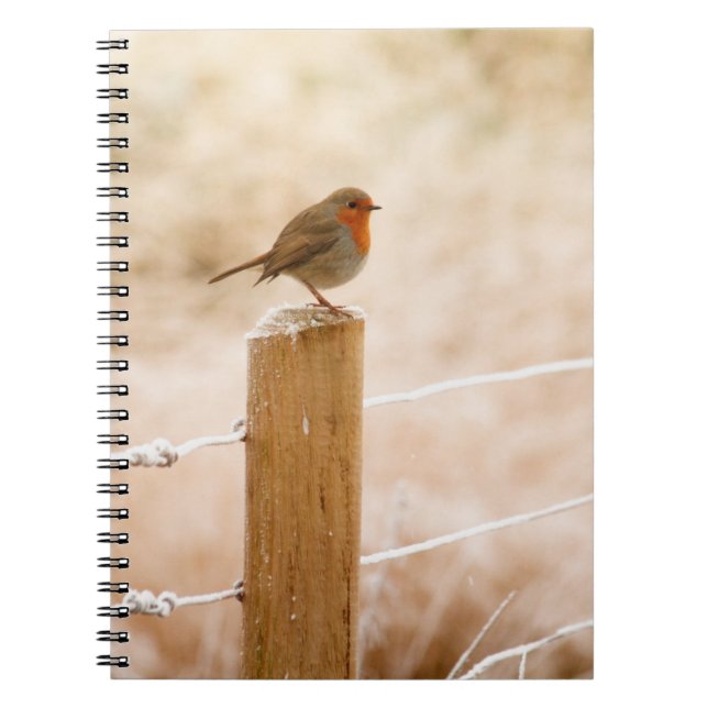 Caderno Espiral Winter Robin Redbreast (Frente)