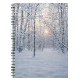 Caderno Espiral Winter Sunlight in Quiet Birch Forest