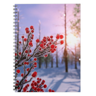 Caderno Espiral Winterberry no notebook de gelo