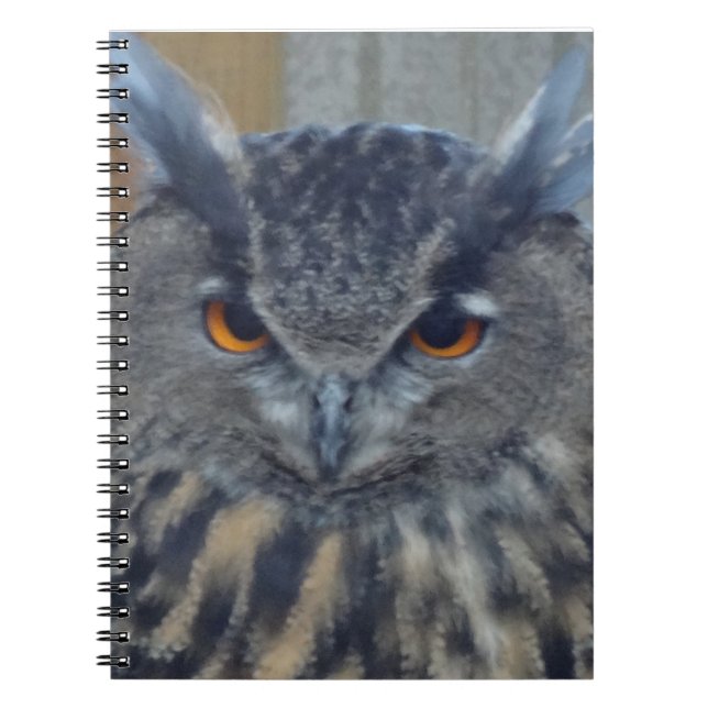 Caderno Espiral Wise One (Frente)
