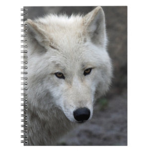 Caderno Espiral Wolf 015