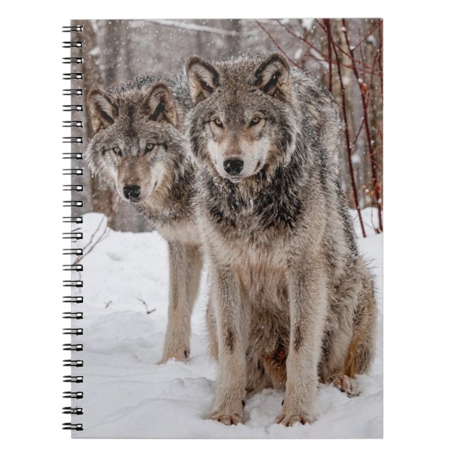 Caderno Espiral Wolf Cinza Oriental (Frente)