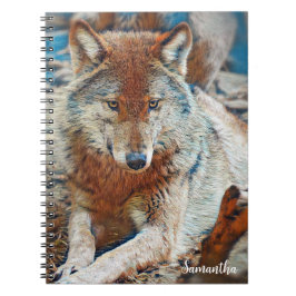 Caderno Espiral Wolf Spiral notebook