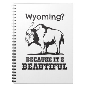 Caderno Espiral Wyoming? Porque é lindo