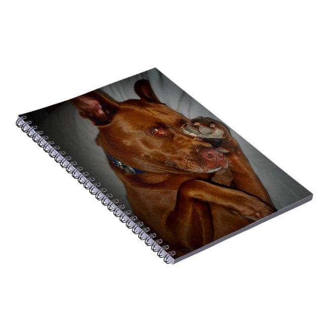 Caderno Espiral Xícara de Chocolate Tímido (Lado Direito)