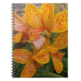 Caderno Espiral Yellow Canna Lily with Red Speckles Floral