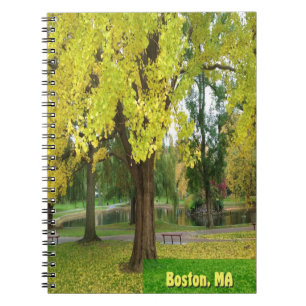 Caderno Espiral Yellow Gingko Tree - Boston Public Garden