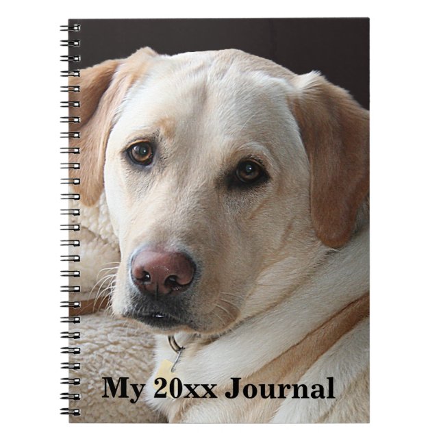 Caderno Espiral Yellow Labrador Retriever (Frente)