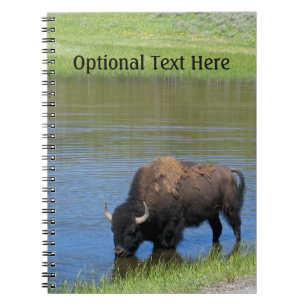 Caderno Espiral Yellowstone Buffalo Souvenir