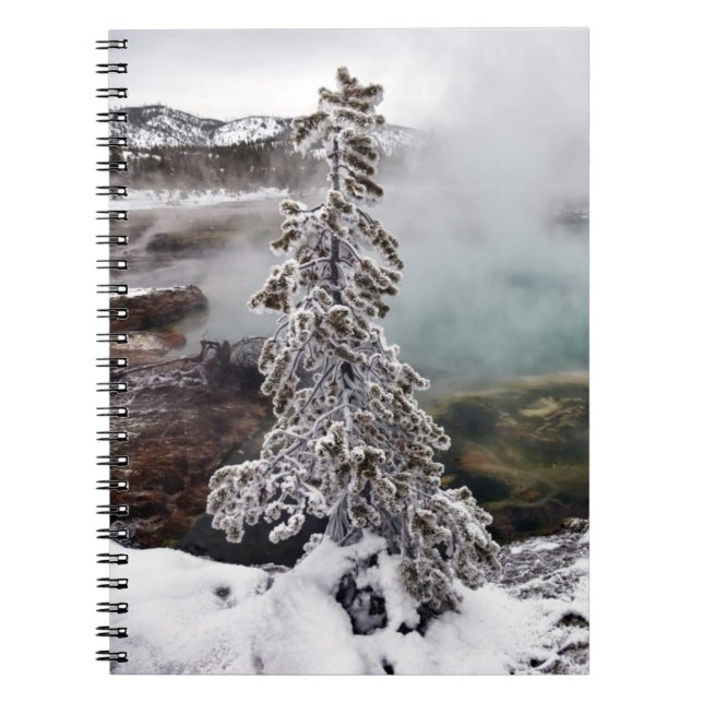 Caderno Espiral Yellowstone nevado (Frente)