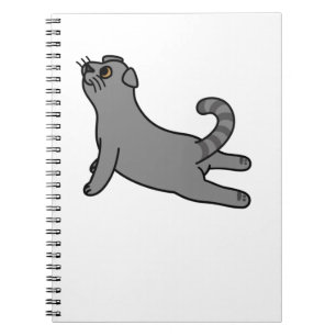 Caderno Espiral Yoga Pose Scottish Fold Cat