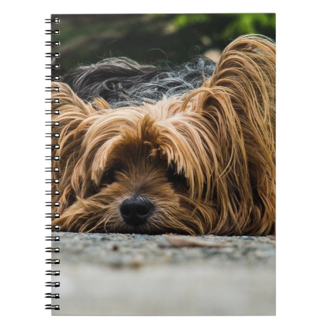 Caderno Espiral Yorkshire Terrier Dog (Frente)