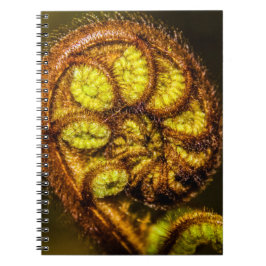 Caderno Espiral Young Fern Folaves