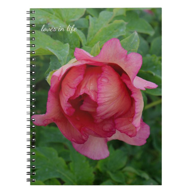 Caderno Espiral Yummy Pink Blooming Peony (Frente)
