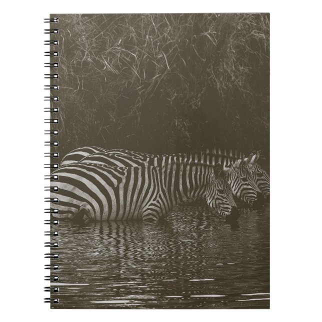 CADERNO ESPIRAL ZEBRA FAMILY BEBIDA (Frente)