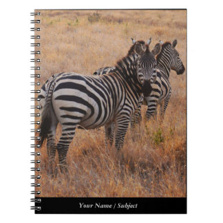 Caderno Espiral Zebra no Quênia
