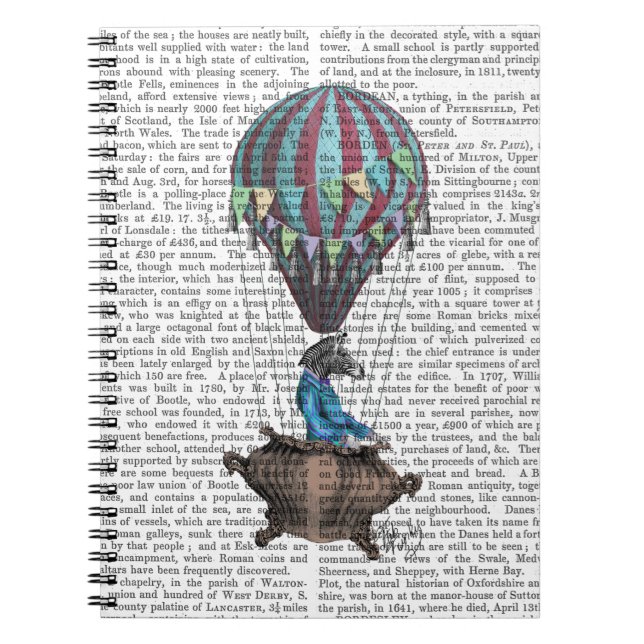 Caderno Espiral Zebra voadora (Frente)