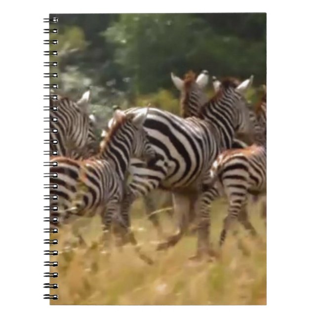 Caderno Espiral Zebras em Movimento: Uma Viagem de Mil Milhas (Frente)