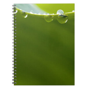 Caderno Espiral Zen Love Green Lotus Leaf Water Drop
