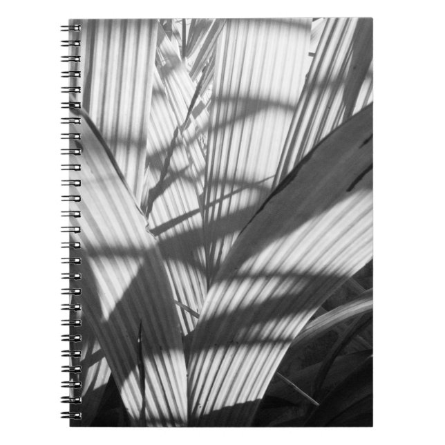 Caderno Espiral Zigzag (Frente)