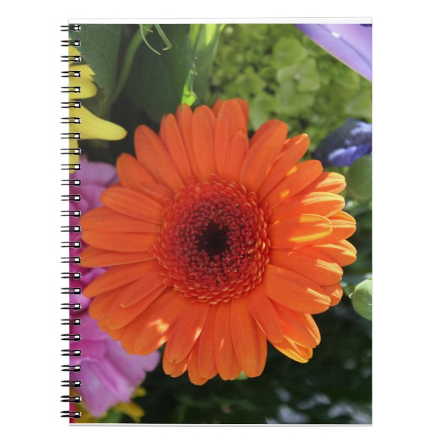 Caderno Espiral Zinnia (Frente)