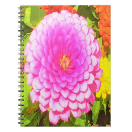 Caderno Espiral Zinnia rosa redonda bonito no Jardim de Verão