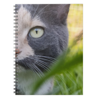 Caderno Espiral Zwischen Halmen – Kobayashi im Grünen