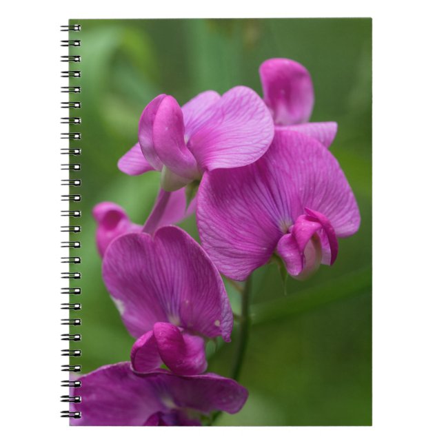 Caderno floral dos Wildflowers cor-de-rosa bonito (Frente)
