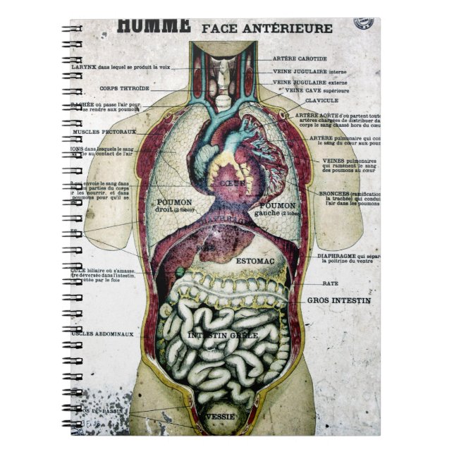 Caderno francês da anatomia do vintage (Frente)