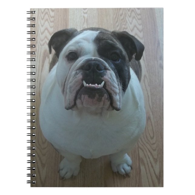 Caderno inglês do filhote de cachorro do buldogue (Frente)
